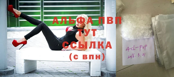 трава Няндома