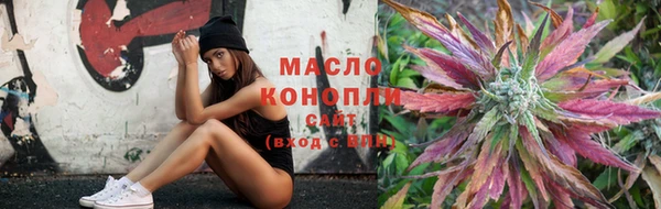 трава Няндома
