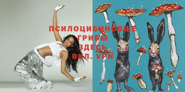 молекула духа Новодвинск