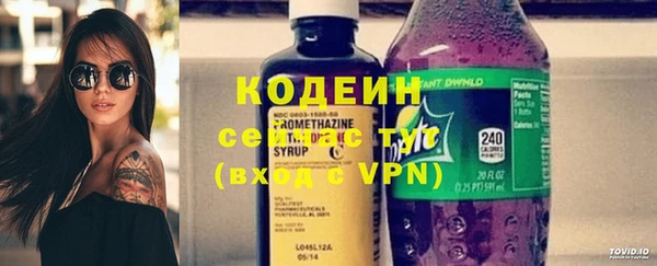 трава Няндома