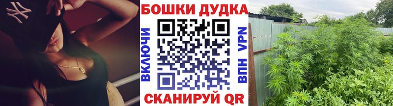 Каннабис сатива  Купить  Кировград 